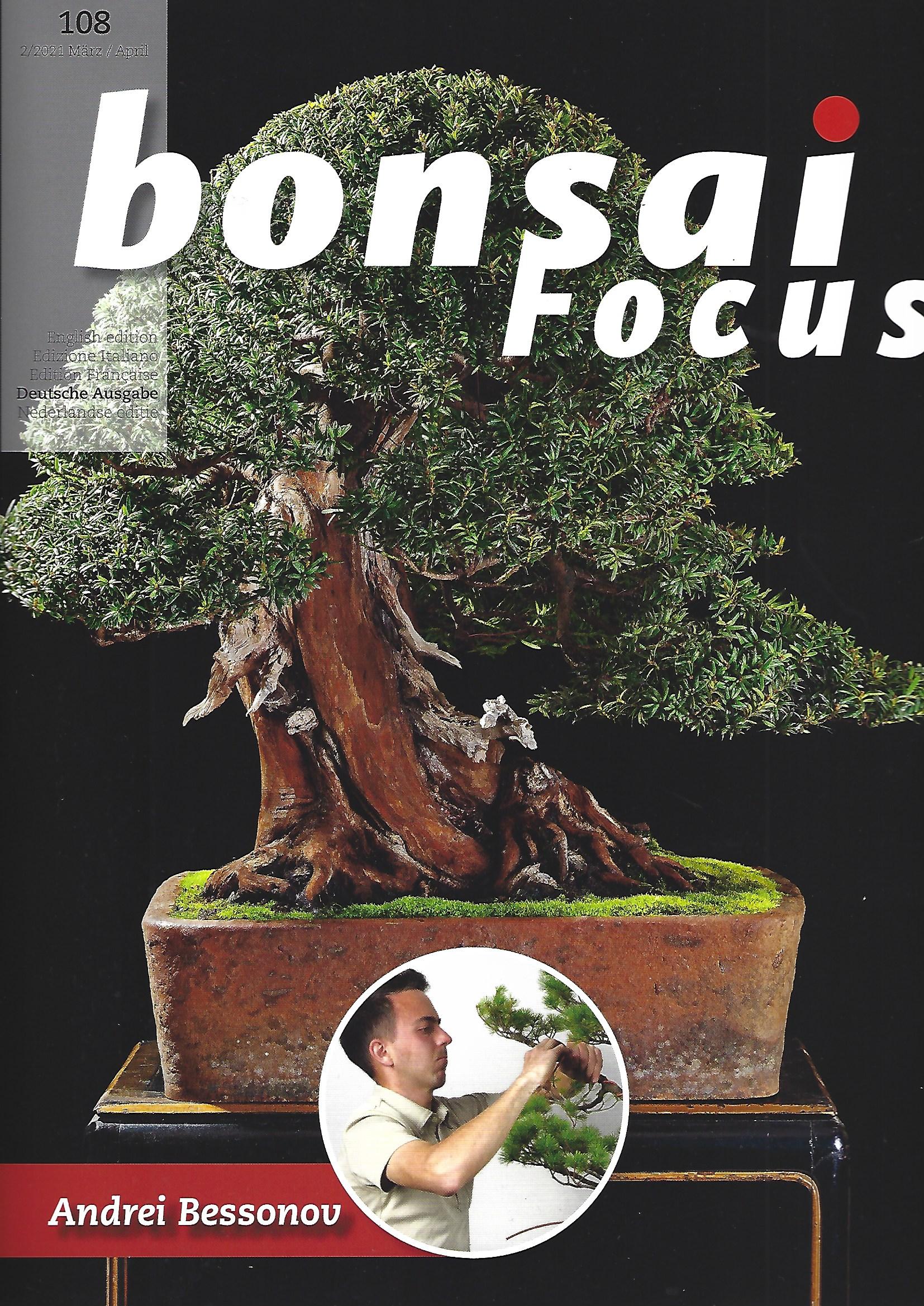 Bonsai Focus, Nr. 108