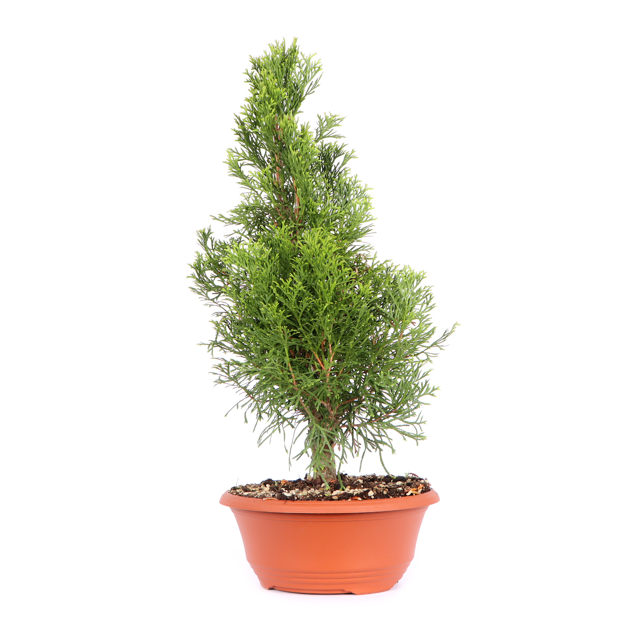 Seitenansicht rechts