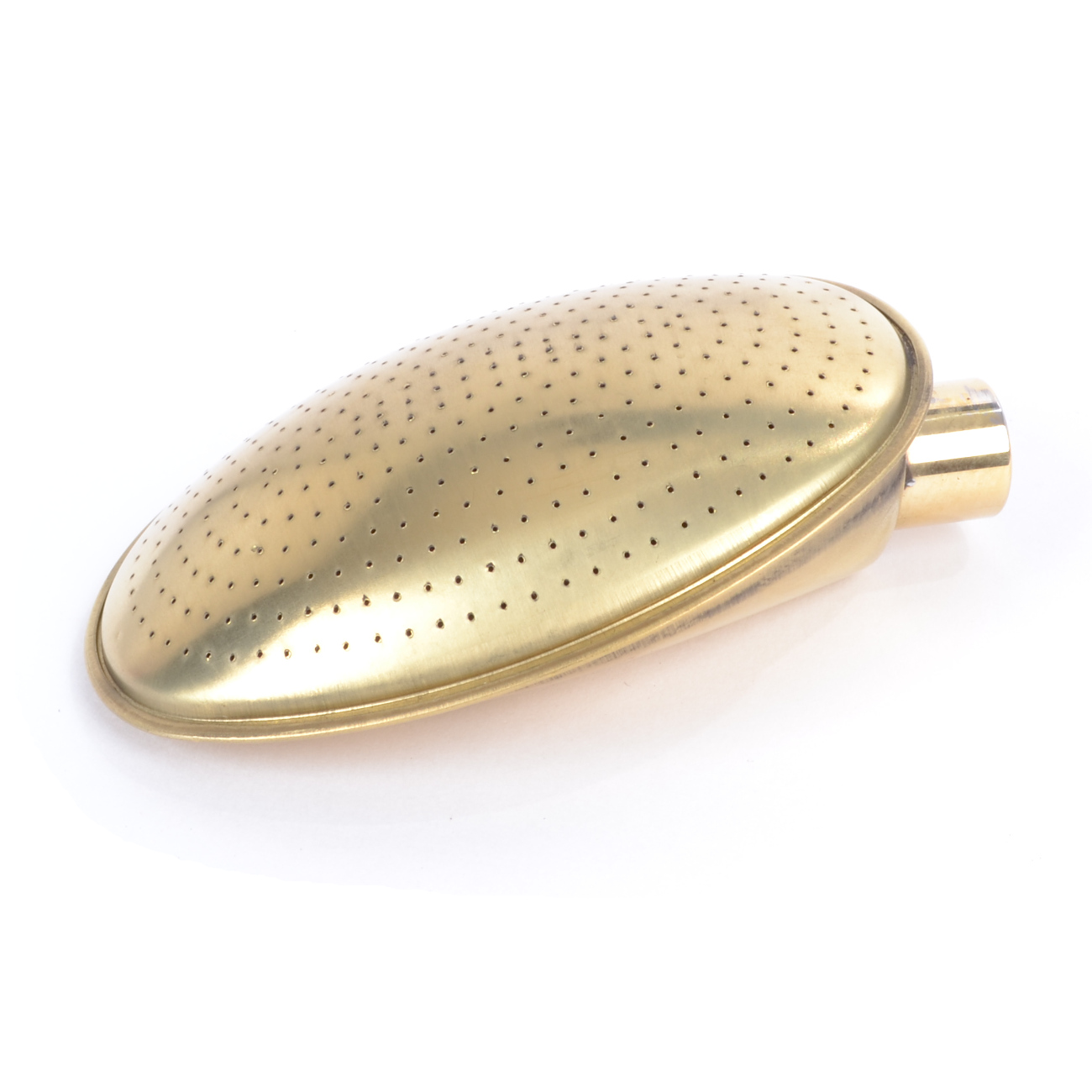 Haws Ersatzbrause oval