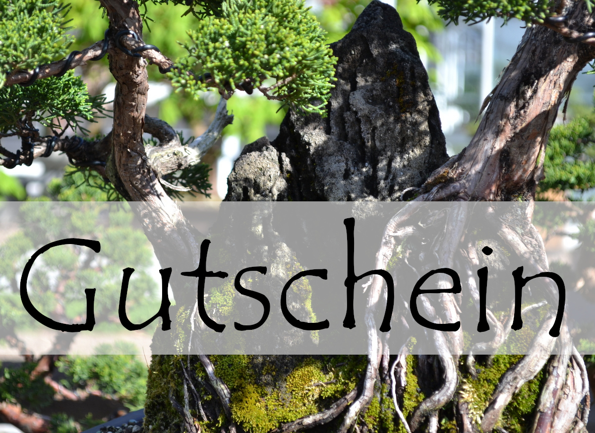 Geschenkgutschein 150 EUR