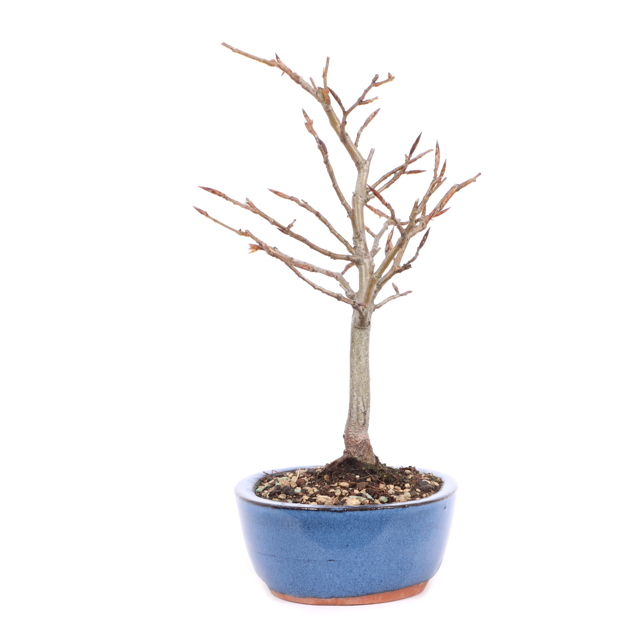 Seitenansicht rechts