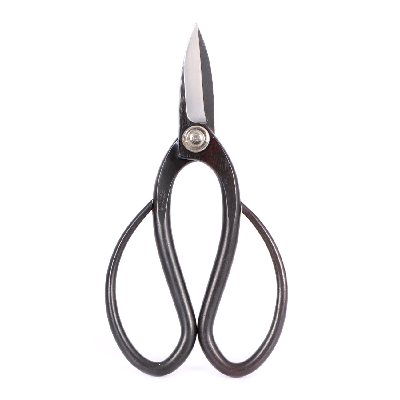 Kikuwa bonsai scissors