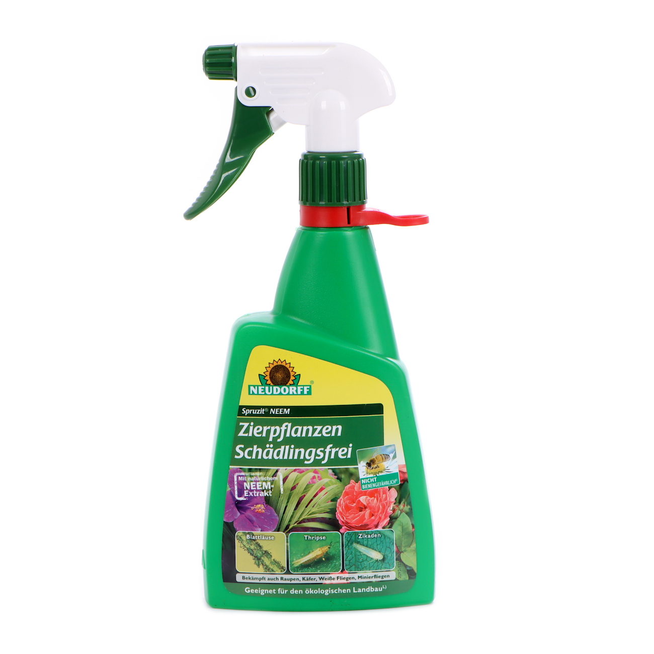 Neem Ornamental Plants Pest-Free