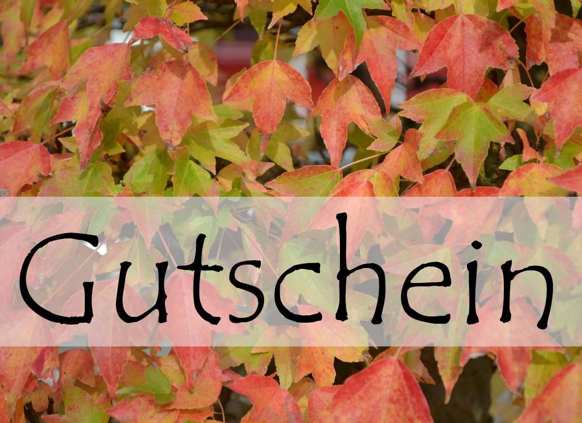 Geschenkgutschein 40 EUR