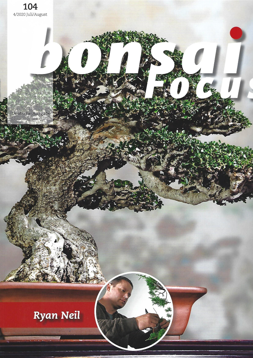 Bonsai Focus, Nr.104