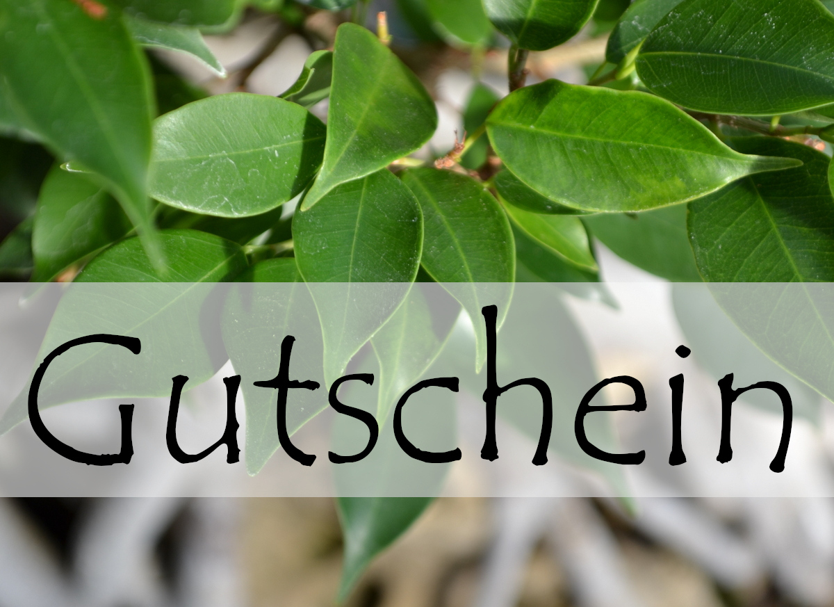 Geschenkgutschein Motiv B