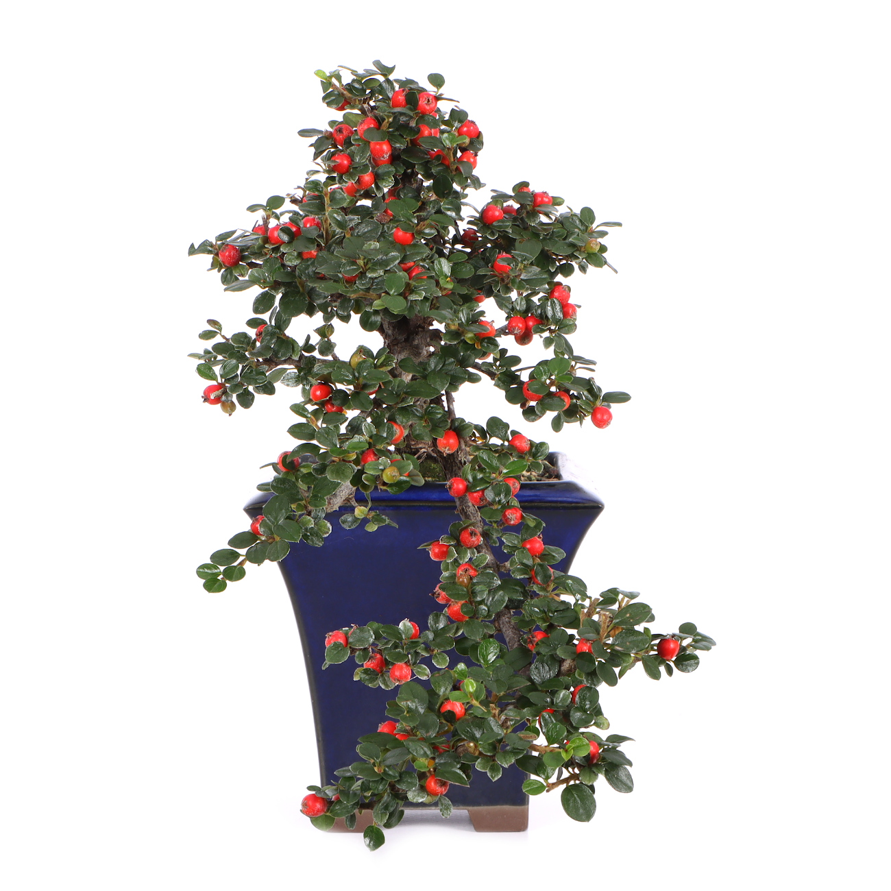 Seitenansicht rechts