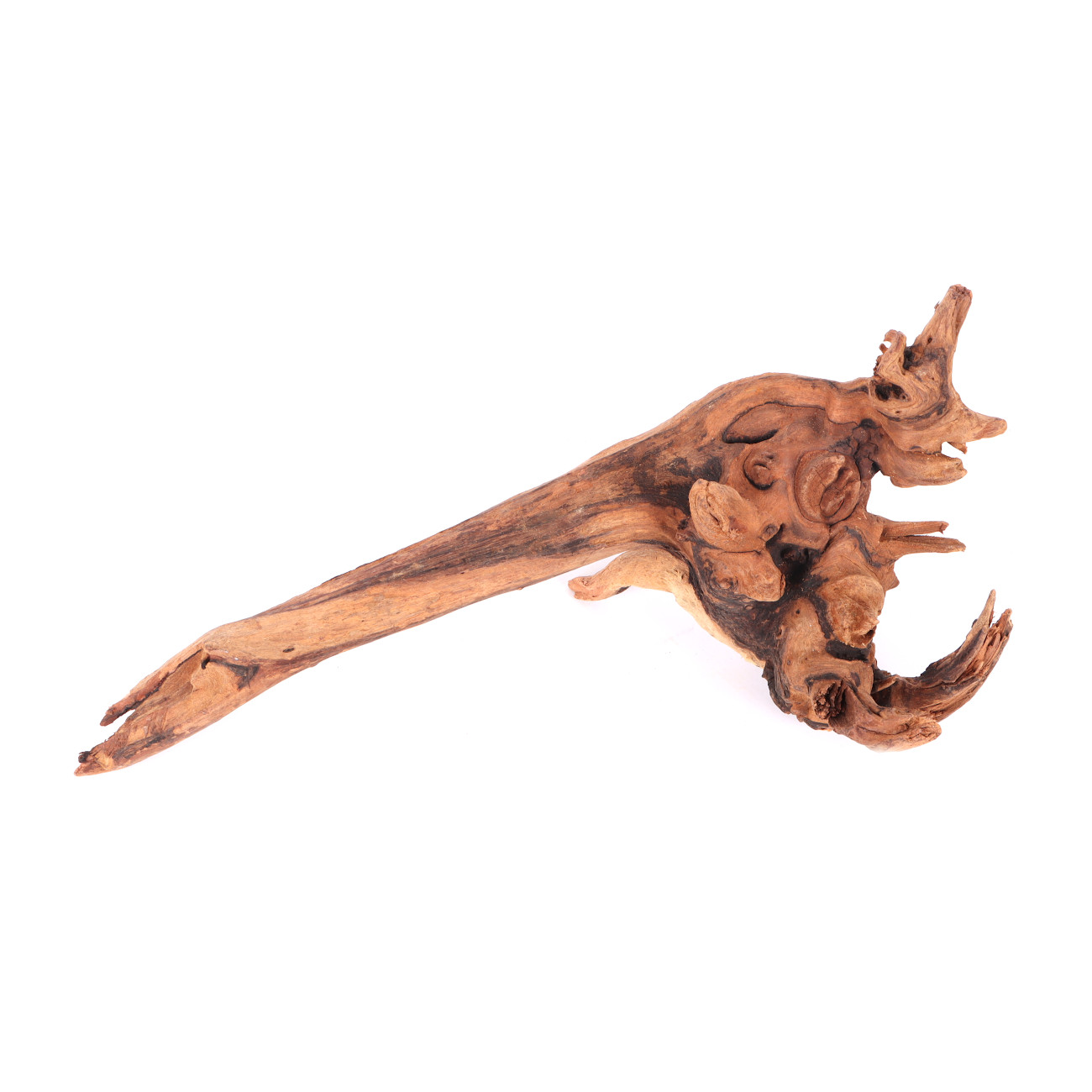 Tanuki-Holz