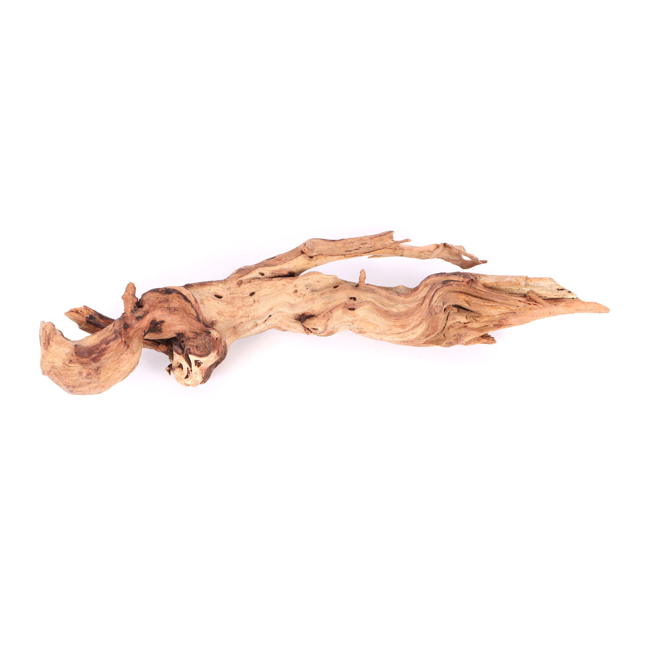 Tanuki-Holz