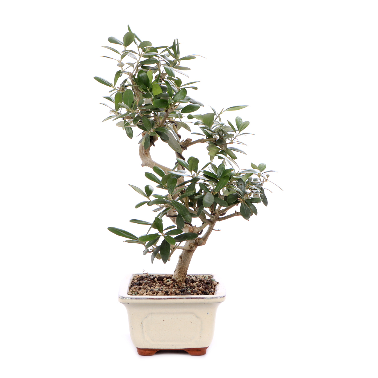 Seitenansicht rechts