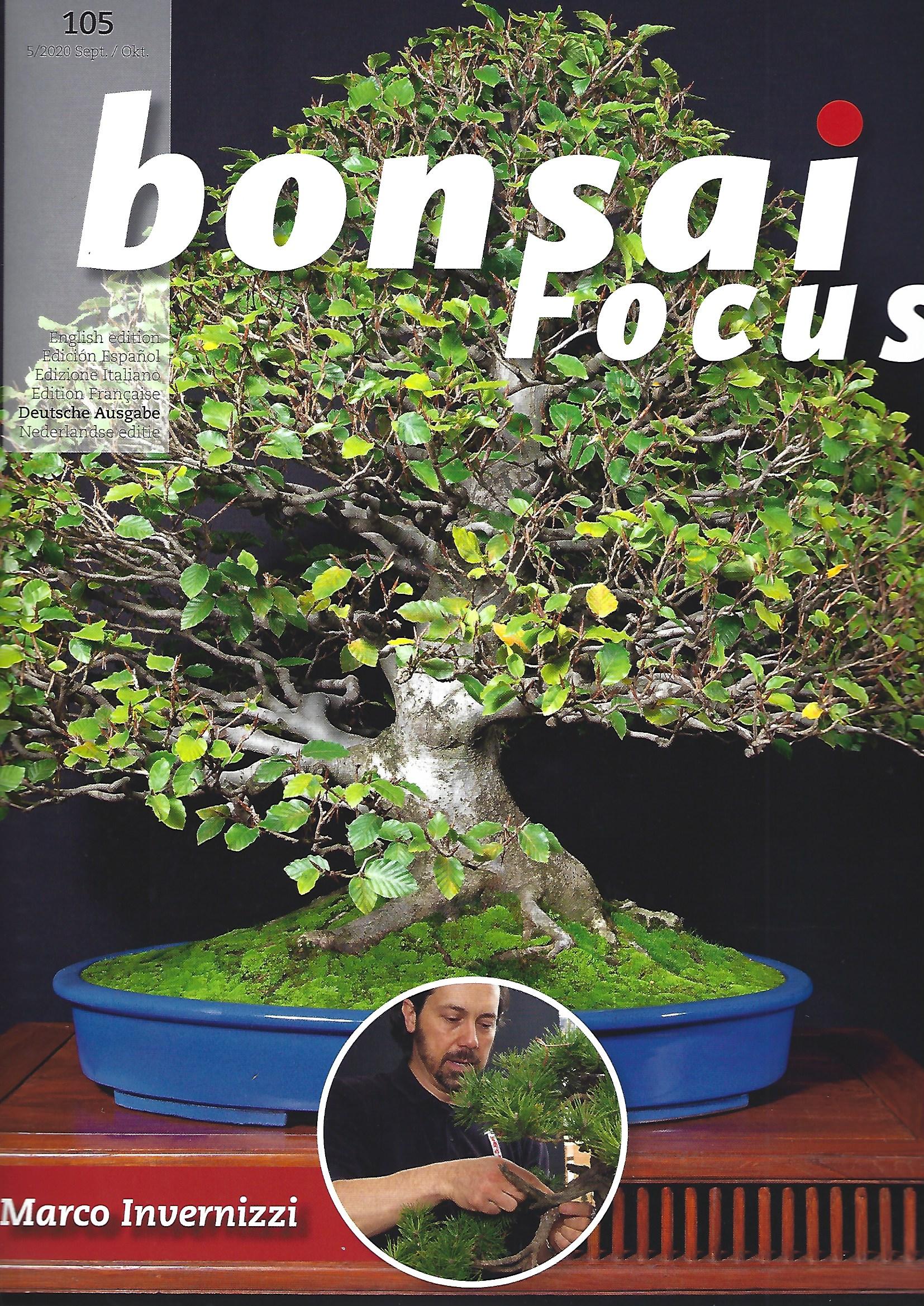 Bonsai Focus, Nr.105