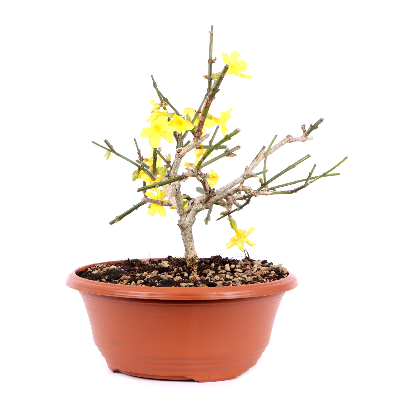 Seitenansicht rechts