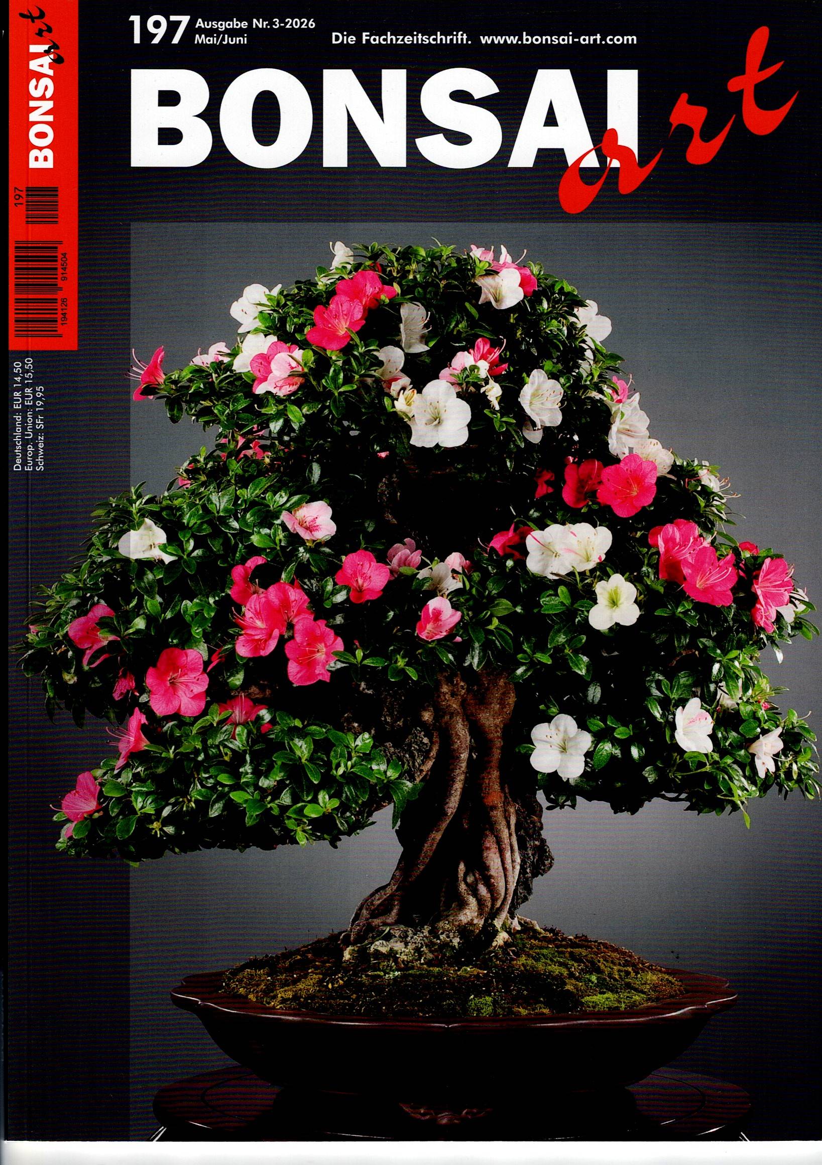 Bonsai Art, Nr. 197