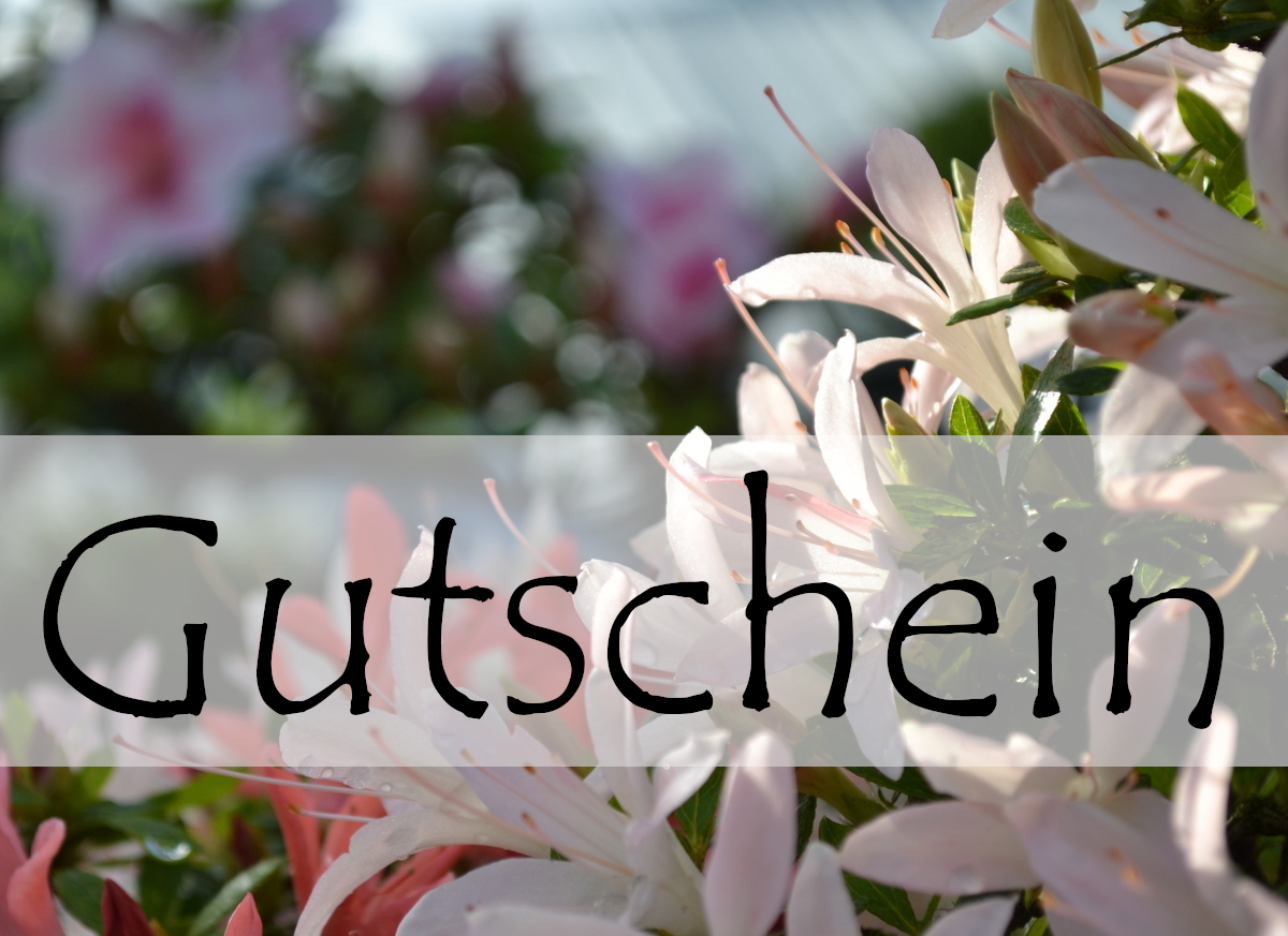 Geschenkgutschein 125 EUR