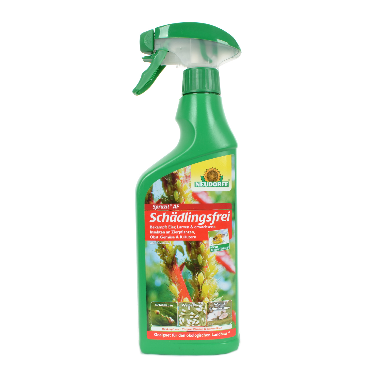 Spruzit AF Pest Free