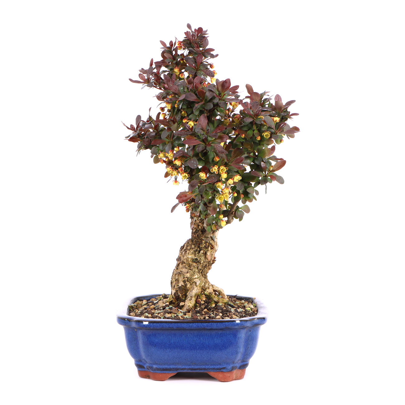 Seitenansicht rechts