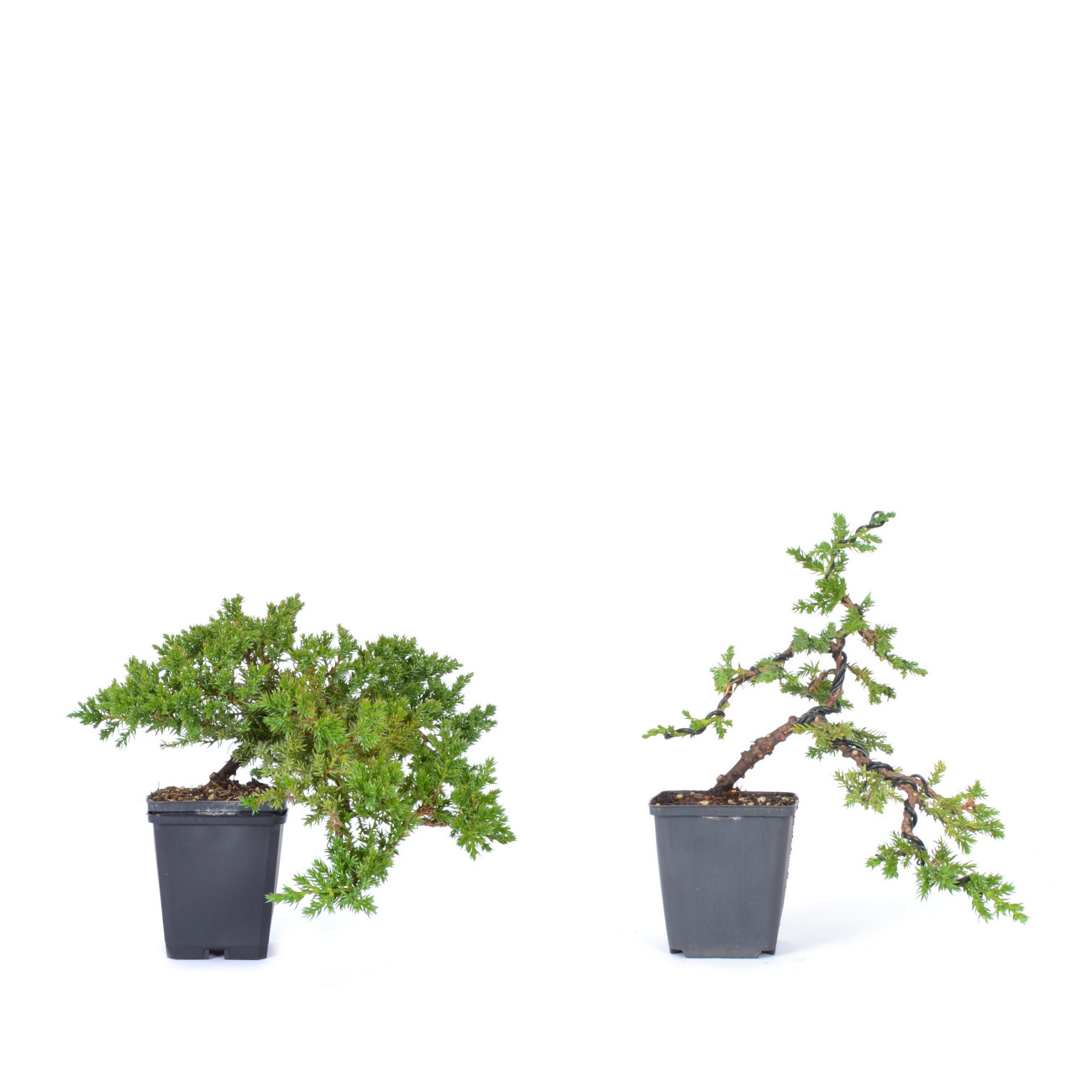 Gestaltungsbeispiel vorher - nachher