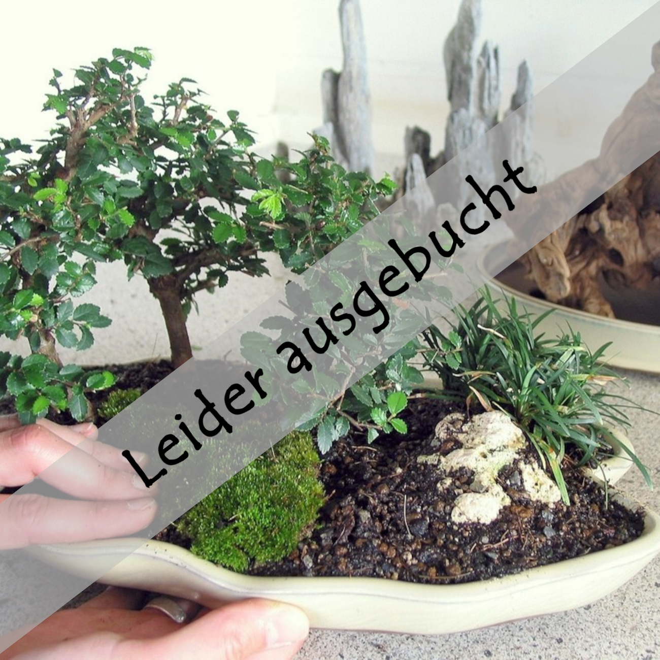 Saikei - Landschaftsgestaltung am 05.12.2026