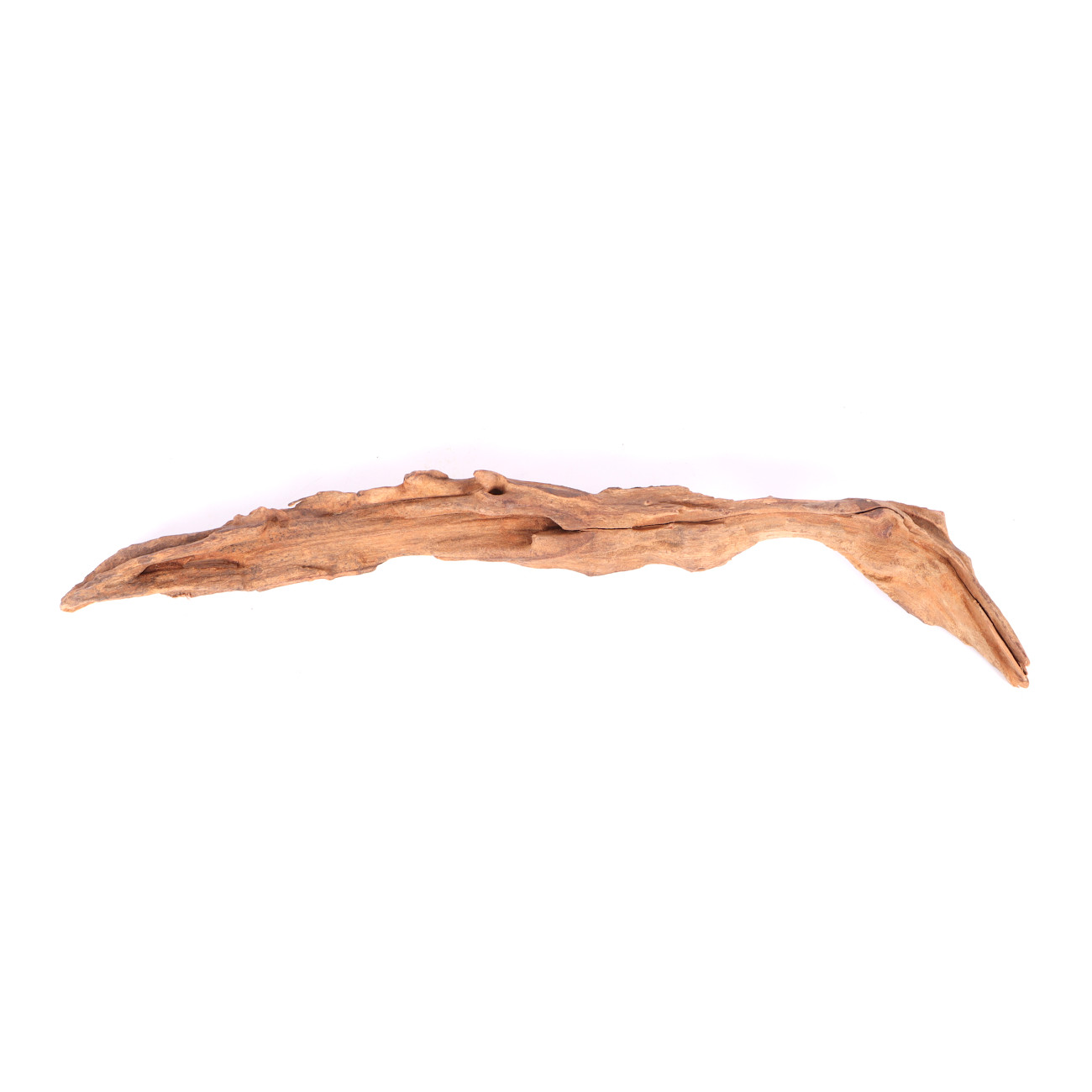 Tanuki-Holz