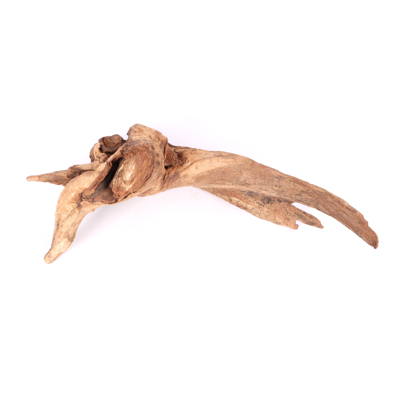 Tanuki-Holz