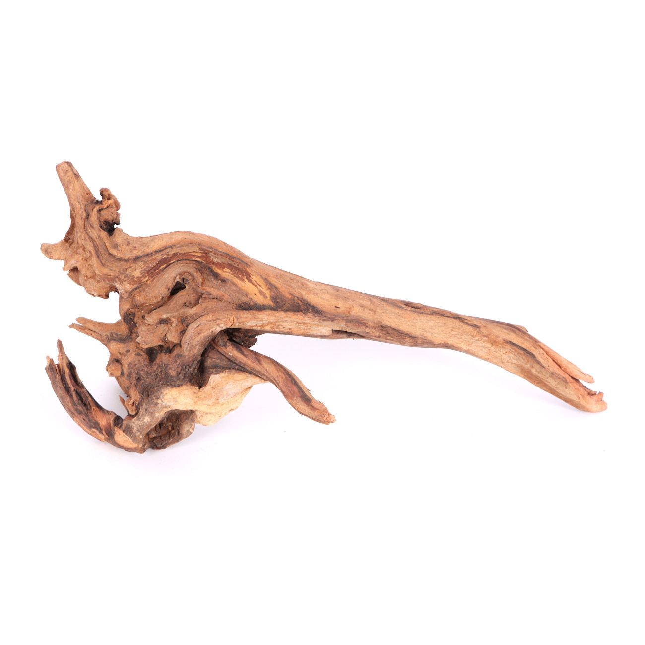 Tanuki-Holz