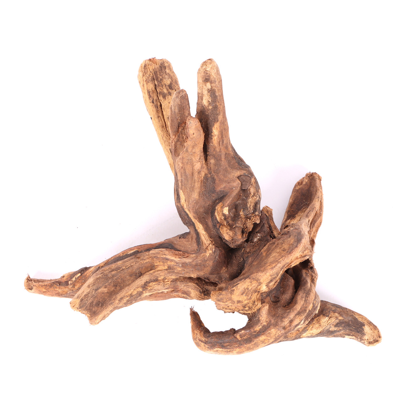 Tanuki-Holz