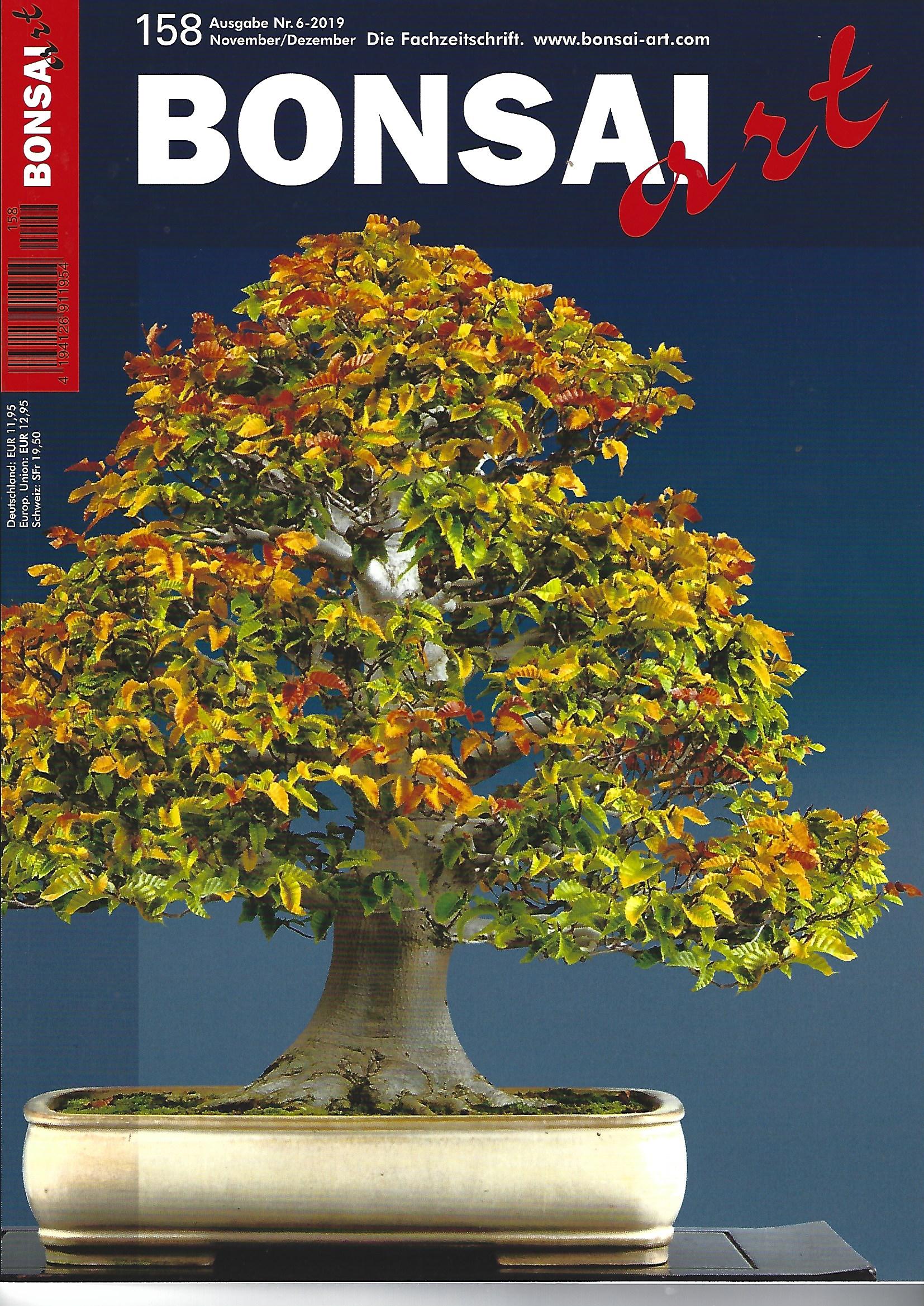 Bonsai Art, Nr.158