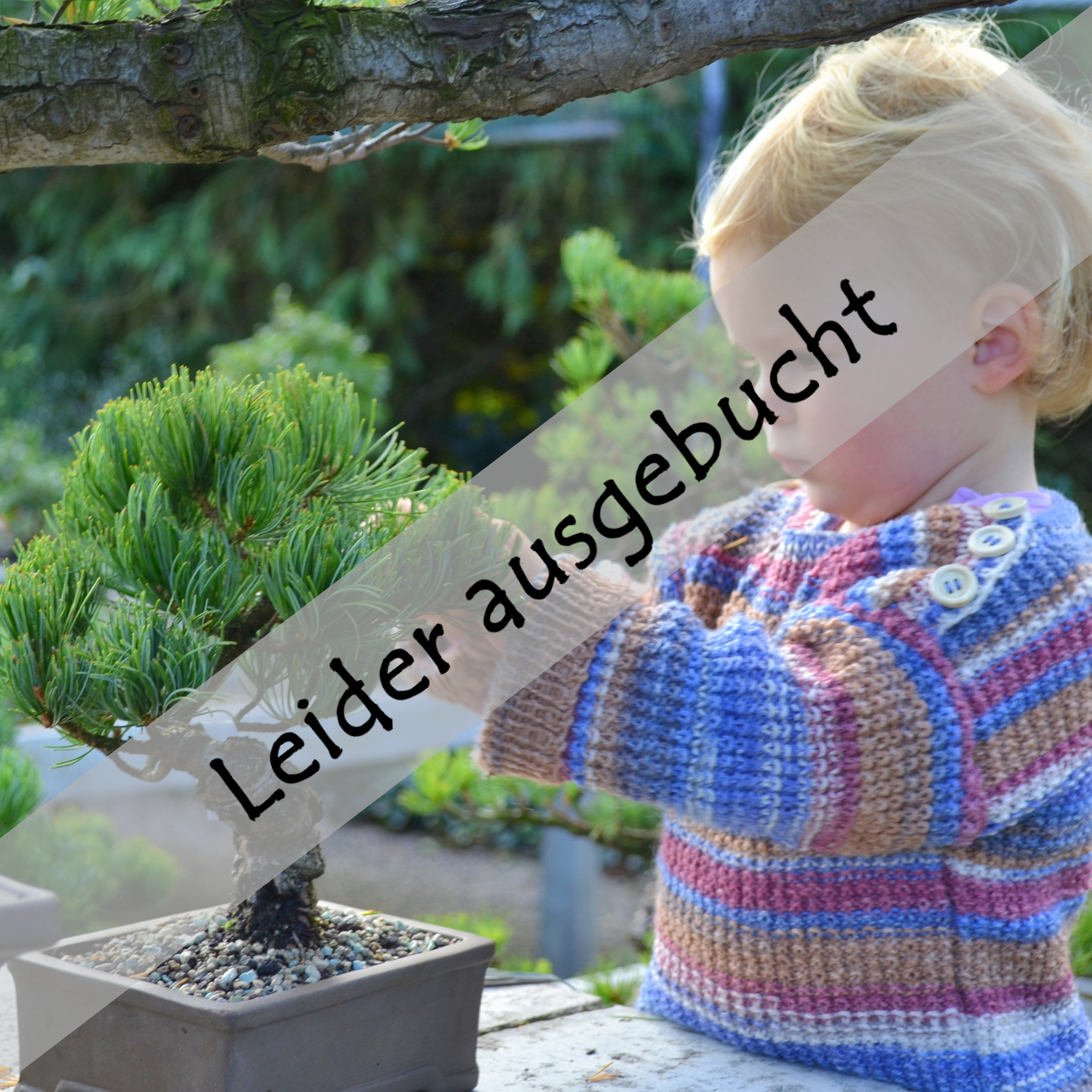 Anfängerkurs am 02.08.2025