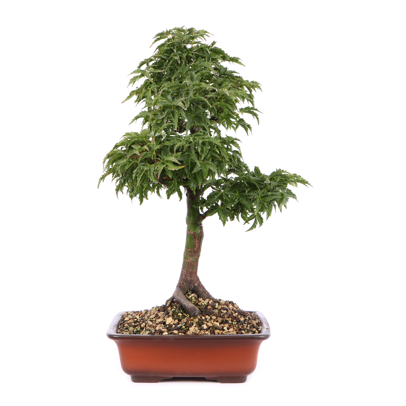 Seitenansicht rechts