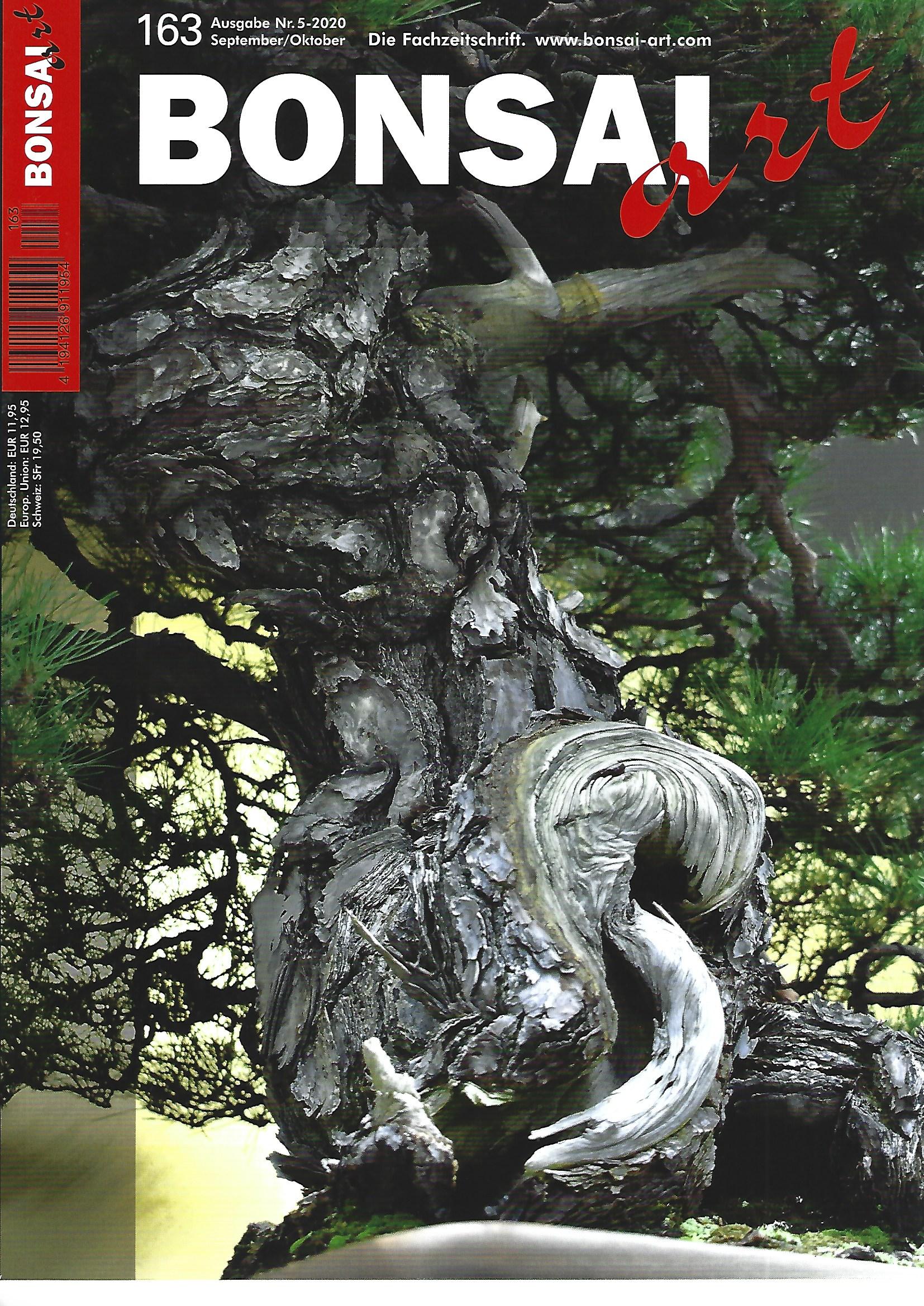 Bonsai Art, Nr.163