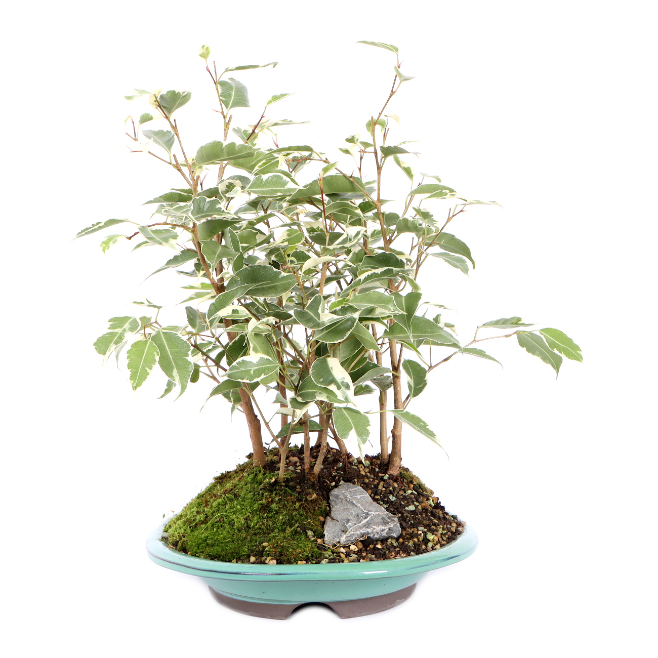 Seitenansicht rechts