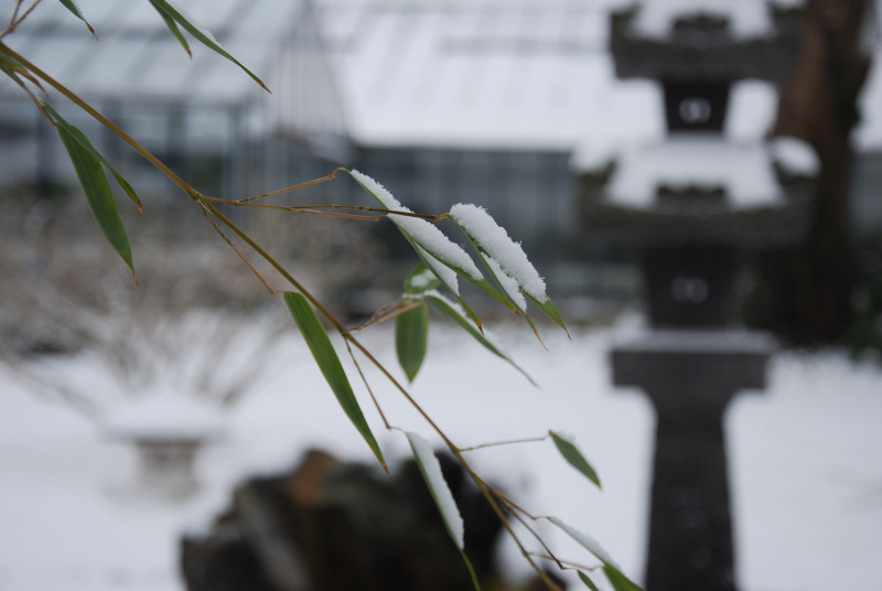 media/image/6_Uberwinterung.jpg