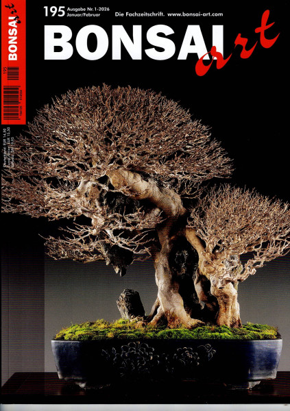 Bonsai Art, Nr.195