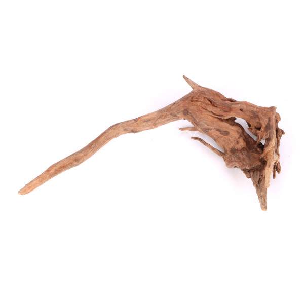 Tanuki wood