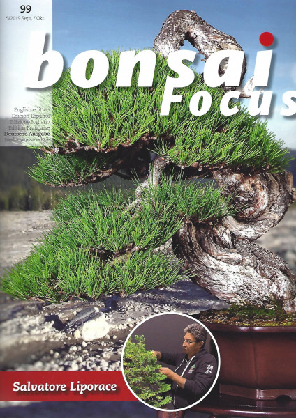 Bonsai Focus, Nr.99