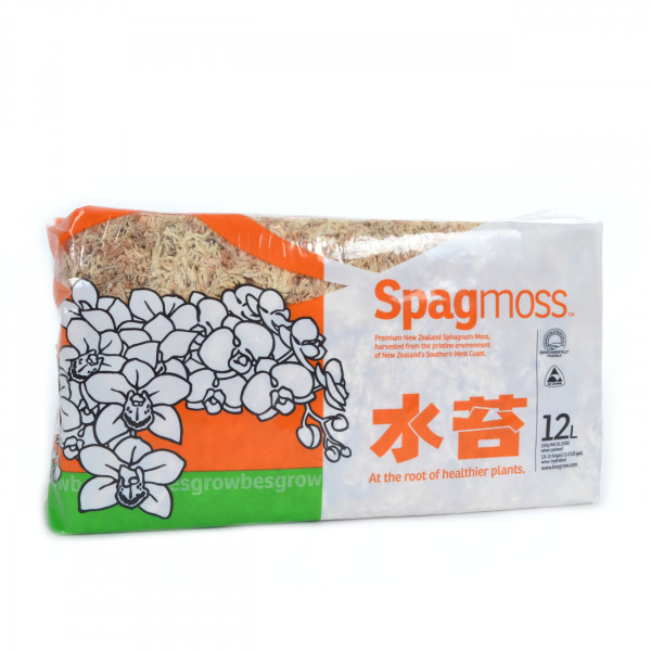 Sphagnum Moos Premium