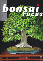 Bonsai Focus, Nr. 114