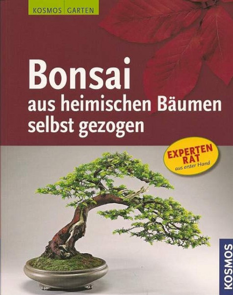 Bonsai aus heimischen Bäumen selbst gezogen