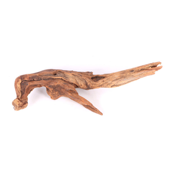 Tanuki-Holz