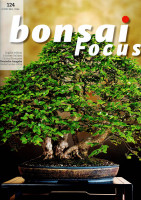 Bonsai Focus, Nr. 124