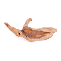 Tanuki-Holz
