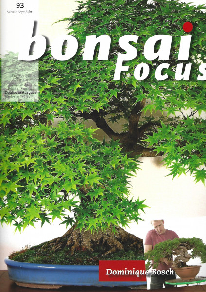 Bonsai Focus, Nr.93
