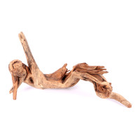 Tanuki-Holz