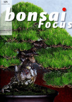Bonsai Focus, Nr. 125