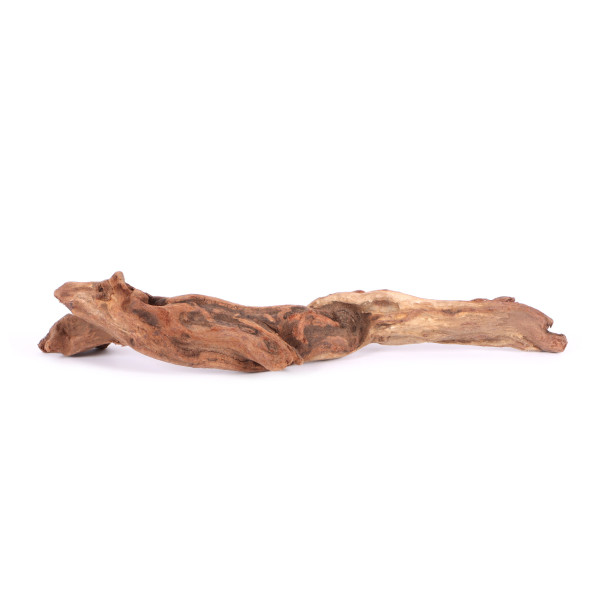 Tanuki-Holz
