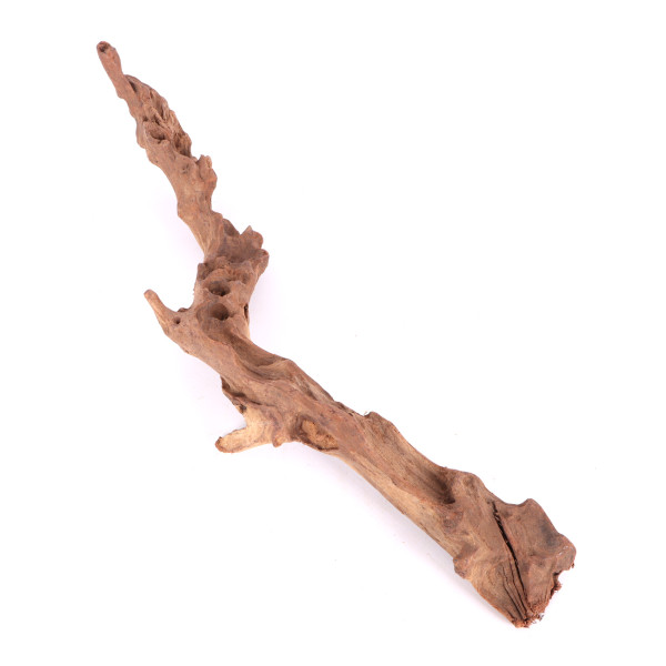 Tanuki wood
