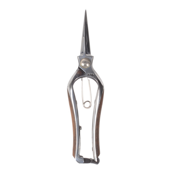 Kikuwa pruning scissors