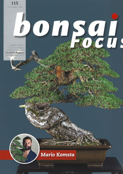 Bonsai Focus, Nr. 115