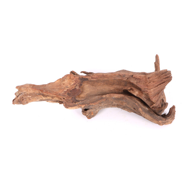 Tanuki-Holz