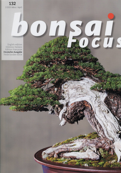 Bonsai Focus, Nr. 132